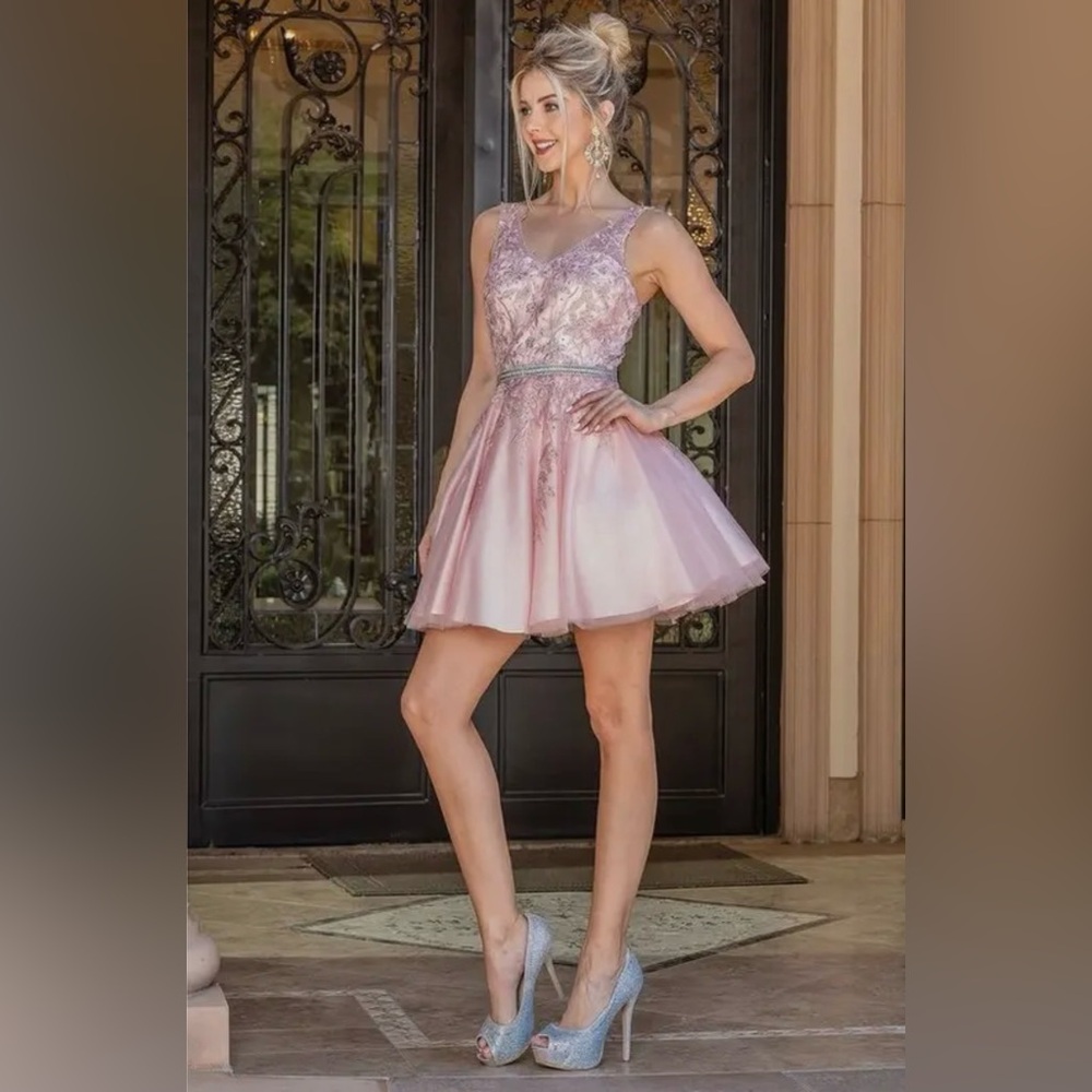NWT Dancing Queen Floral Lace Homecoming Skater Cocktail Dress, Blush